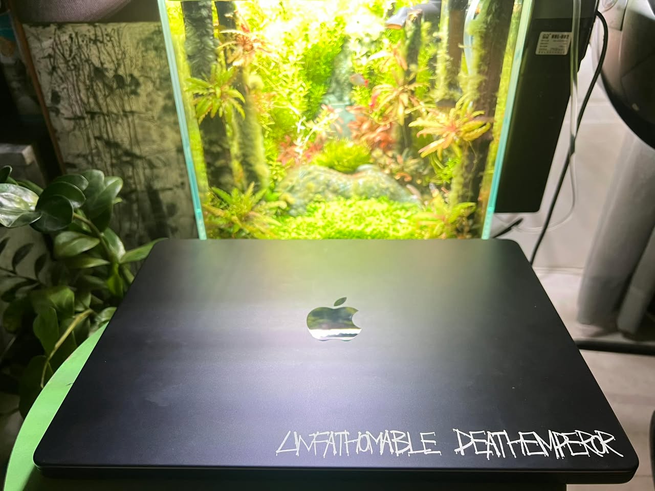 Unfathomable deathemperor.

Unfathomable: không thể đo được, không thể hiểu được.

Thoạt nhìn thì tưởng là tôi bố láo dám tự đặt gọi mình là khó lường, thật ra 2007 tôi đã tìm mọi cách để lấy chữ này trên con laptop đầu tiên muốn mua mà có nhờ @[1189040589:2048:Tridang Vo] ship về từ Canada, cuối cùng tôi không làm.

Mọi thứ của tôi không bao giờ là mới xuất hiện. Tôi yêu lập trình từ khi chưa biết nó là gì, yêu phụ nữ từ lớp mẫu giáo, yêu cá cảnh từ 5 tuổi, yêu thiên nhiên động vật từ khi mới sinh ra, yêu chameleon từ 1995, muốn mình tốt từ lần đầu tiên xấu (mãi vẫn làm chuyện xấu), muốn không ai đoán được từ 6 tuổi.

Lòng dạ độc ác khó lường, vậy lòng tốt khó lường thì tốt đến đâu?

Lòng tham không đáy, vậy lòng tốt có không đáy được không?

Hận cả đời, vậy tốt phải hơn cả đời.

Sống hết mình, nghĩa là sống mà cho hơn cả bản thân mình.

Tấm lòng thì phải bao la như biển cả. Mà biển cả thì chưa bao giờ ai đi hết. Mà người nào đi hết sẽ muốn đi khắp vũ trụ. Tấm lòng thì phải không có giới hạn.

Một lần vượt qua giới hạn, biết rằng không có giới hạn nào cả. Đừng sống để người khác đo, hãy sống để bấy kỳ thước đo nào đặt cạnh mình đều sai.