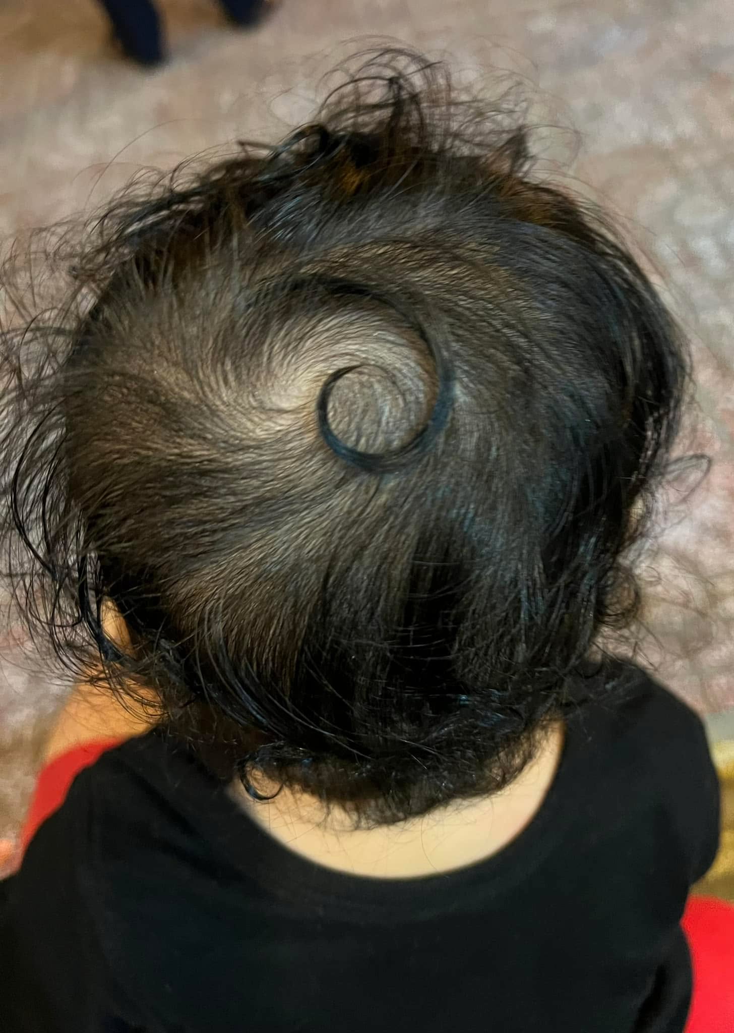 Borned 14/12/2021 when I was under the test of my life.

Thank you for being with us, kid.

The name is Trương Ngọc Linh Đan, also known as Nai (Fawn).

Linh Đan có nghĩa là chỉ một cô gái nhỏ nhắn tinh nghịch, đầu óc thông minh, có tâm hồn lương thiện và sẽ luôn đem lại những điều tốt lành cho mọi người.

Ngọc nghĩa là 1 thứ gí đó quý đáng, khó tìm được. Một điều quý giá tuyệt vời.

Trương

Theo Tính Thị Khảo Lược và Nguyên Hà Tính Toản, họ Trương thuộc dòng dõi Hoàng Đế. Người con thứ 5 là Huy sáng chế ra cây cung. Muốn bắn cung phải trương dây cung.

Trong sách kỷ lục Guinness xuất bản năm 1990, Họ Trương giành kỷ lục họ có nhiều người mang nhất trên thế giới, vượt hẳn các họ Lý và Vương. Đầu năm 2006, Học viện khoa học Trung Quốc xếp họ này là họ thông dụng thứ 3 tại quốc gia đông dân nhất này. Họ Trương được sử dụng từ cách đây trên 4.000 năm.