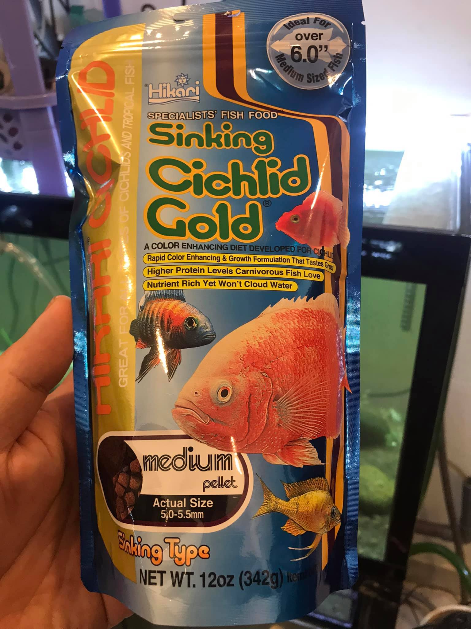 Vieja bifasciatus: Kim Hoả