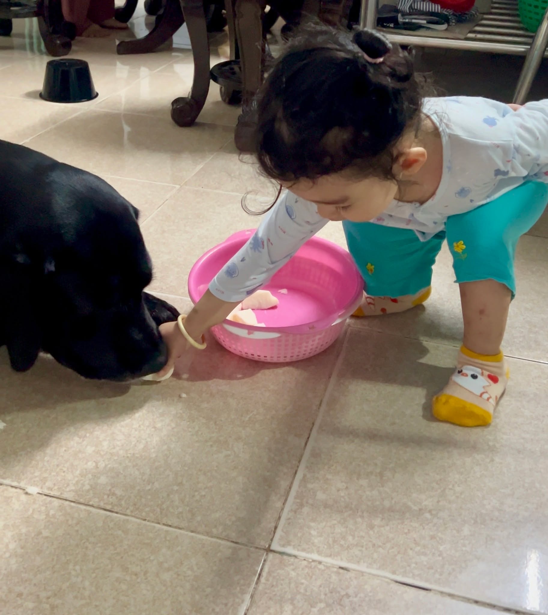 Tâm trạng bấn loạn, thất thần, đa cảm xúc. Ngồi không chẳng làm được việc, suy nghĩ không có lối ra. Nhớ lời sư phụ dặn: hãy ngồi viết cho tĩnh tâm.

Phật pháp phương Đông dạy rằng nhân chi sơ tính bản thiện, ý nghĩa bản tính con người vốn dĩ là lương thiện. Tôi không đọc sách thánh hiền, cũng không học nhiều đạo lý, chỉ được 1 năm đi chùa tụng kinh niệm phật hàng đêm để không hiểu gì cả. Nên tôi không hiểu câu này. Đến khi hiểu, hiểu càng rõ tôi càng thấy khó tin. Thế nào mà lại ai cũng vốn dĩ lương thiện được hả ông??? Tôi bị ép phải lương thiện, tôi phải cố gắng mới có chút lương thiện, tôi phải chủ động lương thiện. Cái gì mà vốn dĩ, cái gì mà mặc định là lương thiện được hả???

Không! Chắc là ông Phật nói để hướng con người tới. Chứ bản năng động vật, sinh tồn là trên hết. Mình là trên hết, mình sống rồi mới đến người xung quanh - giống phương chăm an toàn ngành hàng không: hãy bảo đảm bạn an toàn rồi hãy cứu người bên cạnh. Chắc chắn là như vậy! Nhân chi sơ tính bản ác! Nhưng nói vậy chắc ai cũng tha hồ ác, phải kêu gọi tụi nó hướng thiện bằng cách bảo nó: con đẻ ra là hiền lành (cho đến khi con lớn lên...).

Chắc chắn là vậy.

Tôi hiểu theo cách đó khi vai Joker do Heath Ledger thủ vai truyền đạt được thông điệp: con người sẽ tốt cho đến khi sự an toàn của họ bị xâm hại. Khi tất cả mọi thứ đều tốt và đầy đủ, ai cũng sẽ tốt. Khi không còn gì để ăn, con người sẽ giết nhau để ăn thịt nhau.

Nuôi chó dữ - đừng để chó đói, nuôi chó hiền - cũng phải cho ăn đầy đủ (hình là chó hiền đó). Hoạt động với người không tốt, đừng để họ rơi vào hoàn cảnh khốn cùng. Chơi với bạn, hãy đưa bạn vào tình huống khó khăn gian nan để biết bạn xấu bạn tốt mà cư xử y vậy về sau. Nếu muốn cùng xây dựng tương lai với người nào, hãy tìm cách nhìn thấy được khi bần cùng nhất họ hoạt động ra sao. Nhưng phải biết giới hạn con người là ở đâu. Thời những người sinh ra trong sung sướng sẽ không biết nghèo khổ, những người cả đời nghèo khổ sẽ không từ bỏ thủ đoạn để vươn lên. Thử thách với kẻ dũng cảm mà đừng thử thách những kẻ hèn nhát đê tiện. Phải chọn được người nghèo mà không hèn, giàu sang mà không kêu, khó khăn không nản, xem gian nan là thử thách, thua không đầu hàng, thất bại là bậc thang, tài năng và tâm đức, người với người là hiền nhưng người đánh giặt là hung hãn. Phải biết chăm lo hiền tài mà không phung phí với bậc tiểu nhân. Nhỡ may lo nhầm kẻ tiểu nhân mà bỏ bê hiền tài; phát hiện, phải chặt đầu ngay và cáo lỗi người còn đứng kia.

Viết xong con thấy rõ hơn mọi thứ. Cám ơn sư phụ.