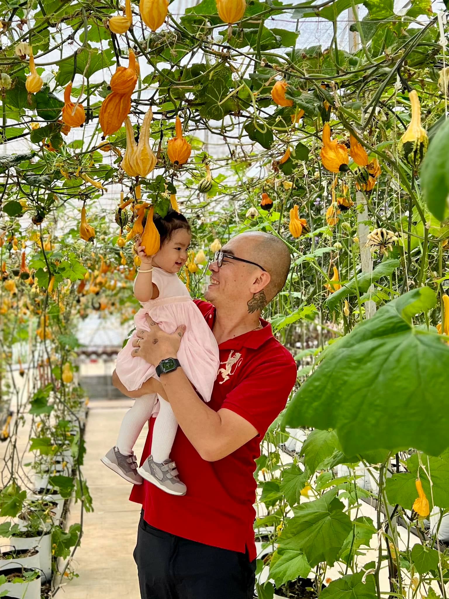 Viết về gốc của em, một ít.

Cái năm em sinh ra là theo lời kể và trí tưởng tượng của em thì nó là một năm cùng cực của mọi miền tổ quốc Việt Nam. Năm 1984. Ba em 32 tuổi, má em 27 tuổi, chị hai em 8 tuổi, anh ba em 5 tuổi. Cái nghèo là cái khổ. Ba em kể ổng với má em vỡ kế hoạch đứa thứ ba. Ổng bả quyết định uống thuốc để không khổ thêm, uống tới mấy lần. Chắc hơn chục lần, em phóng đại. Rồi một hôm ổng mơ thấy ổng đi lên trời dạo chơi gặp mấy ông tiên, mấy ổng hỏi có đứa nhỏ nào cứ đi theo con vậy. Ba em còn không biết là con ai sao trả lời được mấy ông tiên. Mấy ông tiên độ là con mày chứ ai. Vậy là thức dậy ba tôi nói má tôi thằng này là Lộc trời cho, thôi chọn nó là con mình đi em.

Nên gọi là Hữu Lộc. Cám ơn ông tiên.

Em sinh ra em có biết khổ là gì, em chưa đủ lớn để biết. Cái hoàn cảnh của em cũng giống như hoàn cảnh của bất kỳ đứa nào được sinh ra đời chứ, cùng một suy nghĩ: đẻ ra trong nhà nào thì nhà đó là của mình và chỉ có nhiêu đó. Nghèo hay khó chỉ xuất hiện khi so với nhà bên cạnh. Nhà em không có nhà bên cạnh. Cạnh như cạnh vách luôn ấy, không có. Ba mặt của nhà em là đường mương (là cái đường của con mương nên miền Tây gọi luôn là đường mương, thường chỉ về chỗ để chảy nước thả ra sông rạch hay với chỗ em ở thì là chỗ để thảy nước), bãi rác, ao tù. Địa thế là một bán đảo, mém tí nữa là đảo nhưng do trước cửa là một con đường đất một mét rộng chia 1 cái ao khác để người ta đi qua. Bán đảo này bà ngoại xin ở nhờ đất của má hai, xây một căn nhà lá tạm bợ cho má em ở. Đoạn em có mặt thì căn nhà mát mẻ mùa nắng, ít dột mùa mưa nhưng tối ngủ lạnh quá do bốn bề có vách cũng như không. Nhỏ em chơi năm mười, em trốn trong bụi tre còn khó tìm hơn chui vô nhà. Có mấy mảng gắn trên vách em dành cả mấy năm mẫu giáo tìm hiểu hoài không hiểu trước khi nằm trên vách nó giúp ích gì cho cuộc đời. Nghiên cứu miệt mài mới biết là do ba em làm thợ sắt, thay cái cửa kéo cho người ta xong lấy mấy tấm cũ về bắt lên vách che đỡ. Em nói thật chứ may là thời đó điện đèn không nhiều chứ đêm hôm chị nào nhìn qua vách này thấy em thay đồ thì thấy hết hàng họ.

Cái vách còn lại ở trước nhà thì nghĩ hoài cũng không hiểu sao nó làm bằng tấm đan rỗ. Em ngủ trưa chỗ này cứ người đi qua anh chị đi lại hỏi “ngủ trưa hả Lục?” sao em ngủ?. Mấy vách khác thì che chi? Có ai đứng trên ao đâu mà lo. Bởi vậy cả tuổi thơ tối ngày nghĩ tới “ai” hoài thành thử sợ ma hơn sợ “ai”.

Cái sự khá lên mà em cảm nhận được rõ ràng nhất là quá trình căn nhà em ngày càng ít lựa chọn để cho người ngoài đường chào khi mình đang ngủ, số thao chén tô dĩa phải vận dụng để hứng nước khi trời mưa nữa đêm. Cái ấm lên của từng giấc ngủ.

Chuyện này không làm em thấy nhà em nghèo. Em chỉ thấy nhà em nghèo khi em qua nhà hàng xóm gia đình người Bắc chơi, xem ti vi bị chửi vì ngồi trên ghế, bắt ngồi dưới đất. Đất là đất đất á chứ không phải đít-trên-gạch đất. Hay chơi đồ chơi với con của họ, họ sợ em ăn cắp lấy về nhà làm của. Rốt cuộc em đi xuống sông đào sình tự bày trò chơi, vui hơn triệu lần.

Khi nhà em thoát nghèo, có ti vi, mỗi tối cứ tới 5 giờ 30 là em sắp xếp lau dọn bàn ghế cộng ca nước để sẵn chờ các bạn nhỏ qua xem chương trình những bông hoa nhỏ. Xem hết đài này đến đài kia, như một người dẫn chương trình truyền hình lên lịch chuẩn chỉnh. Tìm luôn đến đài Trà Vinh coi luôn phim hoạt hình phát bằng tiếng Khơ Me cho đến 19h đài nào cũng tiếp sóng thời sự thì mới thôi.

Em sống bên cạnh những con người ích kỷ, em muốn cho hết những gì mình có thể cho.

Em sống trong thiếu thốn, em tìm cách để chơi vui hết cỡ. Lớn lên khi em có nhiều hơn, em vẫn muốn chơi vui hết cỡ.

Em hoạt động không giữ lại tiền, tại em xuất thân từ gia đình không có gì. Bây giờ quay lại không có gì, cũng không bỡ ngỡ. Làm mọi cách để không quay lại nghèo.

40 năm đã sống em buồn nhiều hơn vui, em muốn vui nhiều hơn buồn.

Em vui khi em làm hết mình.
Em vui khi em chơi hết cỡ.
Em vui khi em không giữ lại gì cho em.